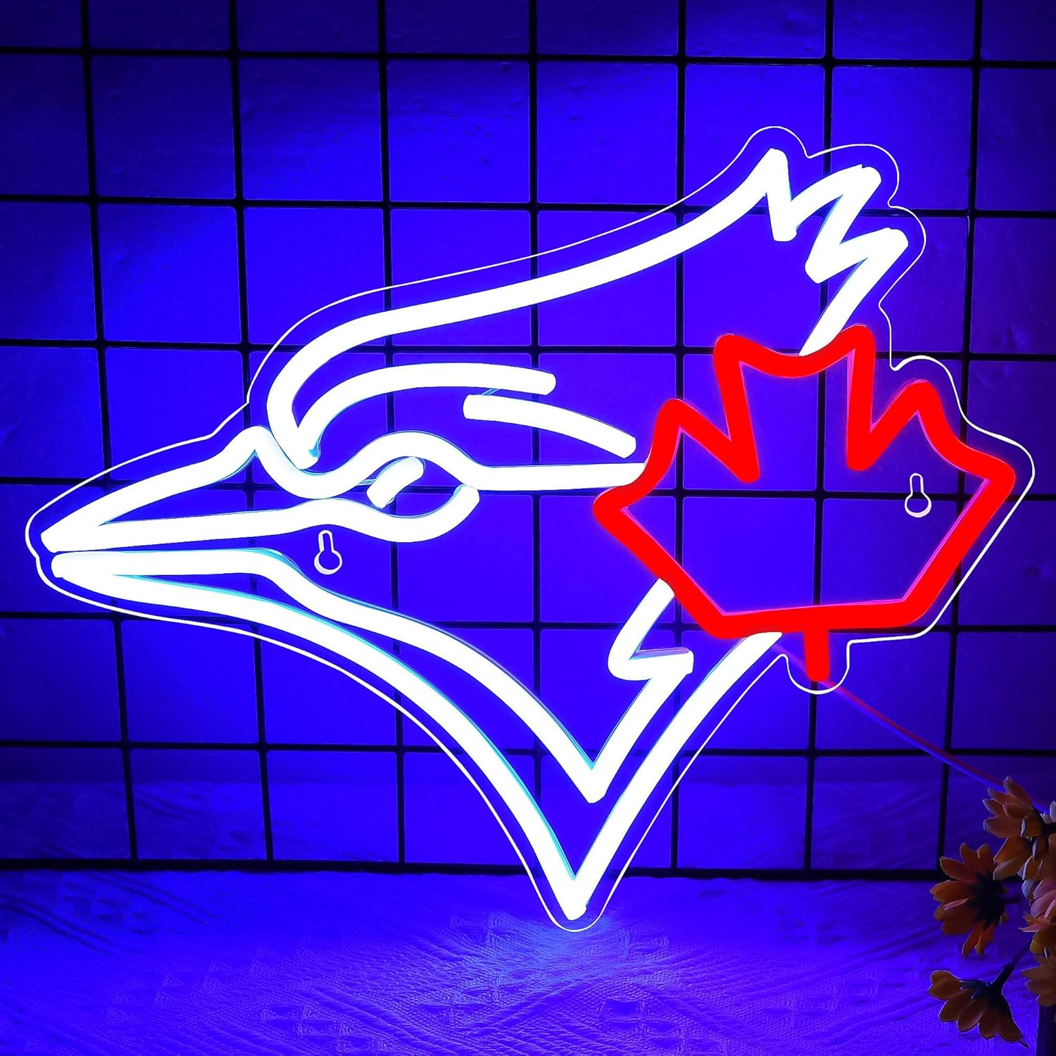 USB dimbaar Blue Jay met esdoo - Jay Lighting Decor recensie en prijs